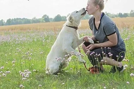 Młodziutka Biała, kochająca ludzi, lubiąca psy, mą