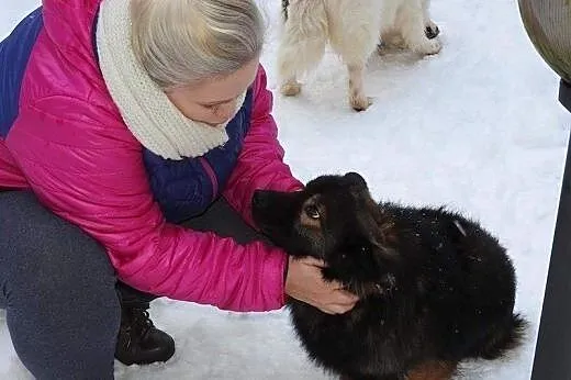 Czaruś mega pieszczoch szuka kochającego domku na 