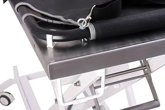 weterynaryjny stół z noszami transportowymi, Śląskie, Częstochowa