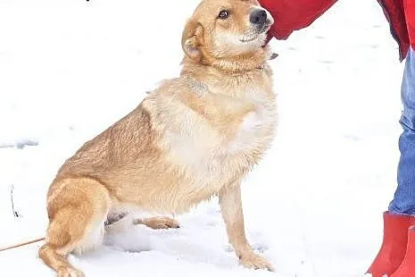 Pyszna - chodząca reklama wdzięku i uroku:),  mazo