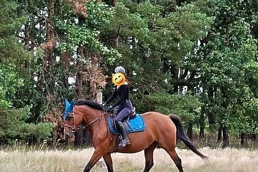 Sprzedam klacz 9 lat Sp