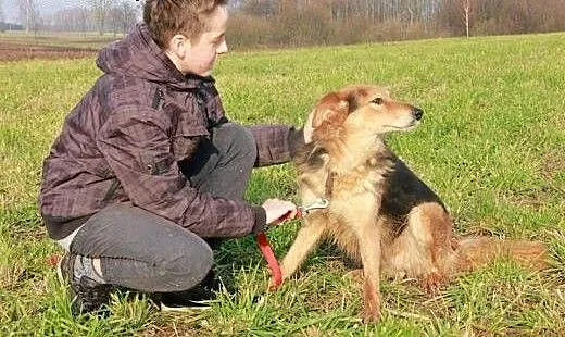Holi do adopcji, podlaskie Augustów