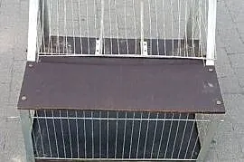 Sprzedam wlot belgijski