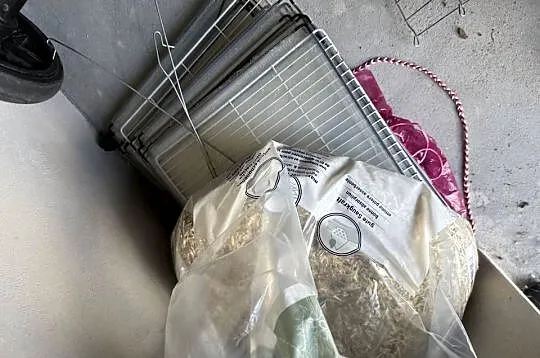 Wybieg dla gryzoni, Lubelskie, Międzyrzec Podlaski