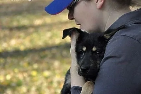 3 mies. pieszczoszka Hera szuka domu!,  mazowiecki