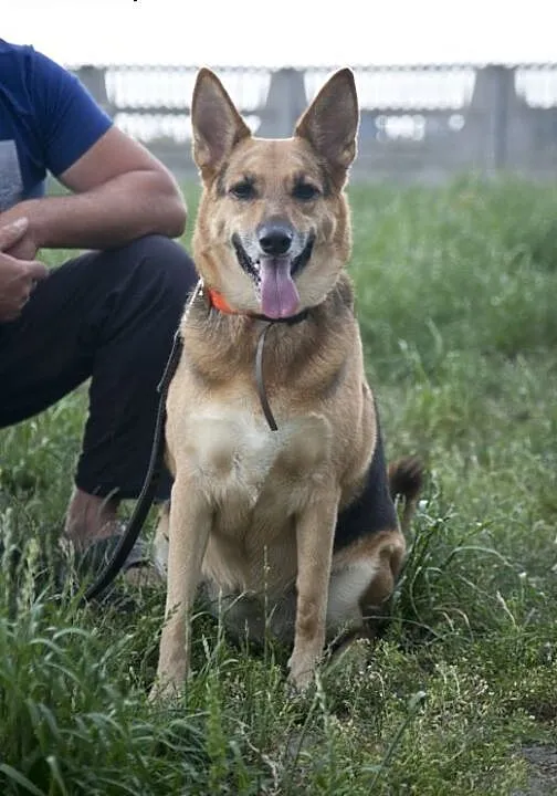 SARA - cudna dama do zakochania :), śląskie Częst
