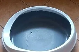 Kuweta dla kota duża owalna