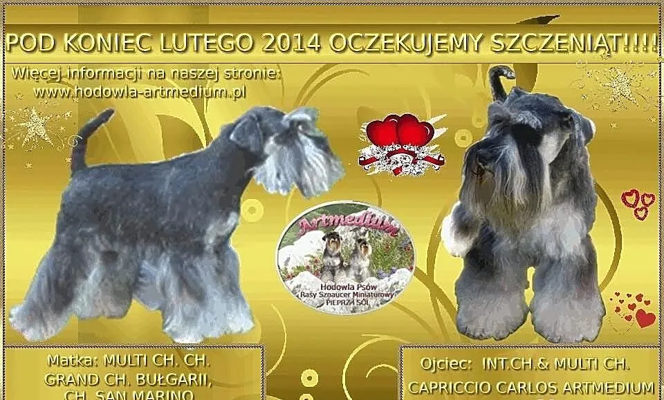 SZNAUCERKI Miniaturowe Pieprz i Sól