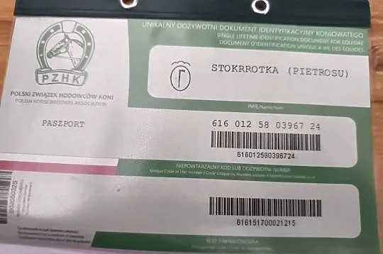Źróbka huculska, Lubelskie, Bokinka Pańska