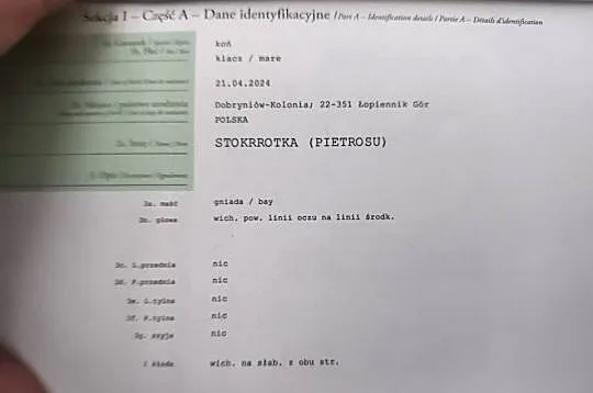 Źróbka huculska, Lubelskie, Bokinka Pańska