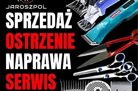 Poskrom do strzyżenia alpak, Małopolskie, Mszana Górna