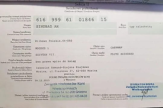 Sprzedam ślicznego siwego, , Karniewo