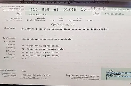 Sprzedam ślicznego siwego, , Karniewo