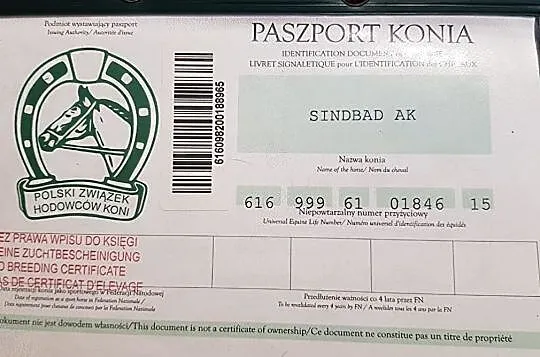 Sprzedam ślicznego siwego, , Karniewo