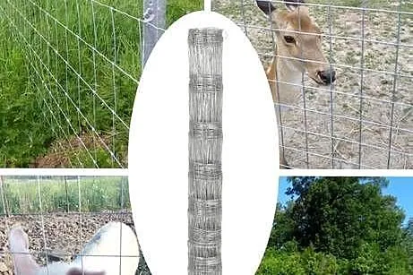 Siatka hodowlana metalowa ocynkowana, duże oczka, 1.2x100m, Lubuskie, Gorzów Wielkopolski