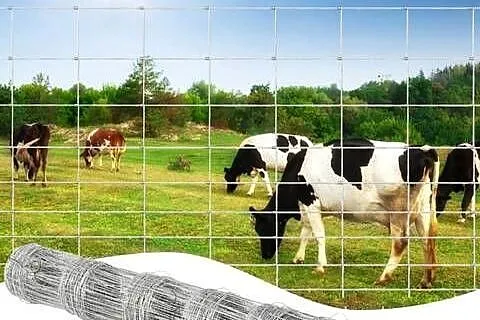 Siatka hodowlana metalowa ocynkowana, duże oczka, 1.2x100m, Lubuskie, Gorzów Wielkopolski