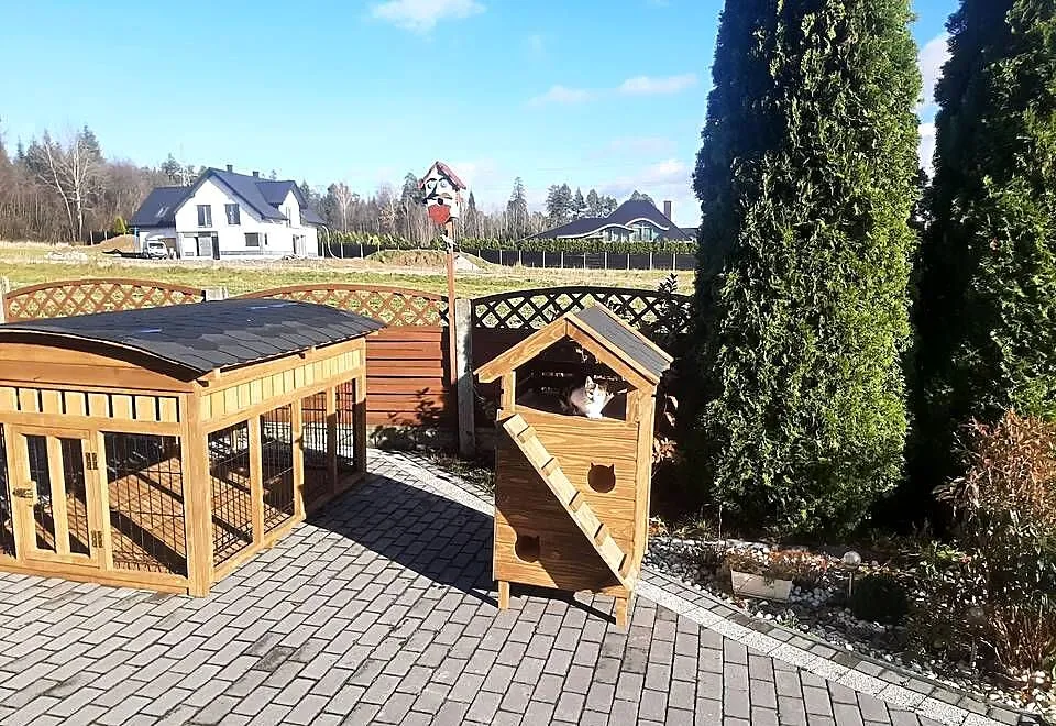 Buda dla dwóch kotów z wiatrołapem., Małopolskie, Jordanów