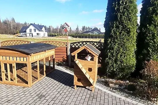 Buda dla dwóch kotów z wiatrołapem., Małopolskie, Jordanów