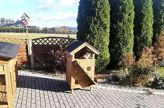 Buda dla dwóch kotów z wiatrołapem., Małopolskie, Jordanów