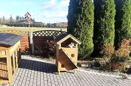 Buda dla dwóch kotów z wiatrołapem., Małopolskie, Jordanów