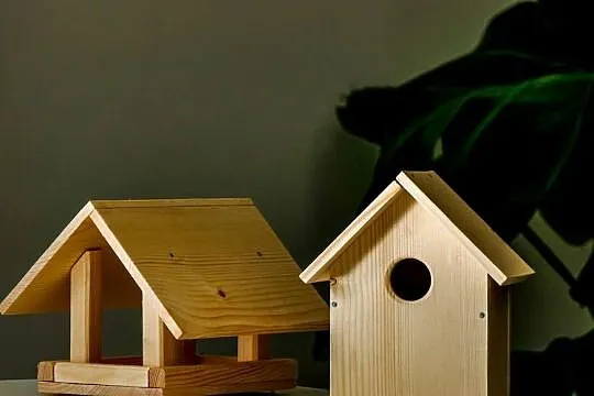 Karmnik dla ptaków DIY zrób to sam, Małopolskie, Trzemeśnia