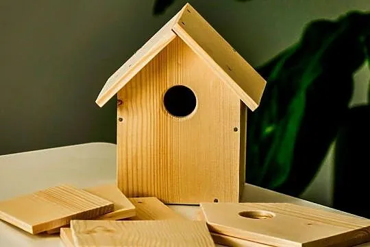 Karmnik dla ptaków DIY zrób to sam, Małopolskie, Trzemeśnia