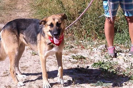 Elza kto mnie pokocha, tak bardzo czekam