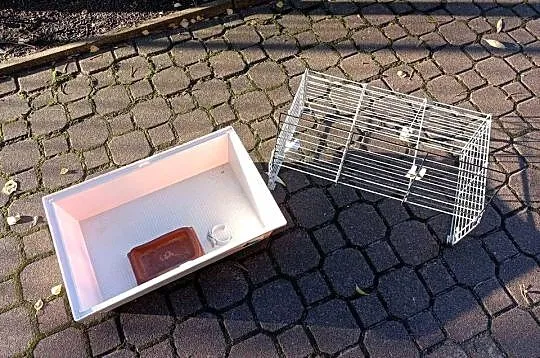 Klatka dla świnki morskiej/chomika, Mazowieckie, Łomianki