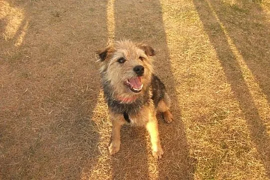 Luna pilnie szuka domu