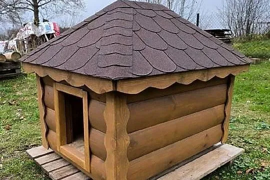 Buda, domek dla psa., Mazowieckie, Ciechanów