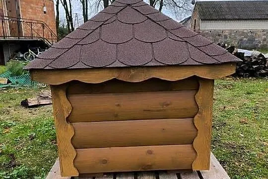 Buda, domek dla psa., Mazowieckie, Ciechanów