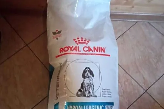 Karma dla Psów Royal Canin Veterynary Hipoalergiczna