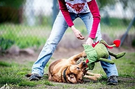 Pokocha za wszystko i za nic, tak po prostu - bez granic.. LEJLA