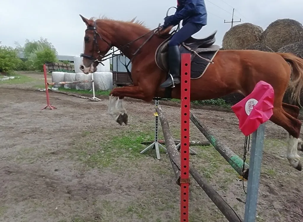 Wydzierżawie pod sport, Wielkopolskie, Śrem
