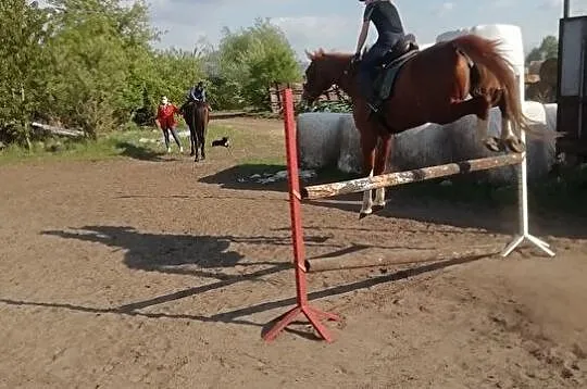 Wydzierżawie pod sport, Wielkopolskie, Śrem
