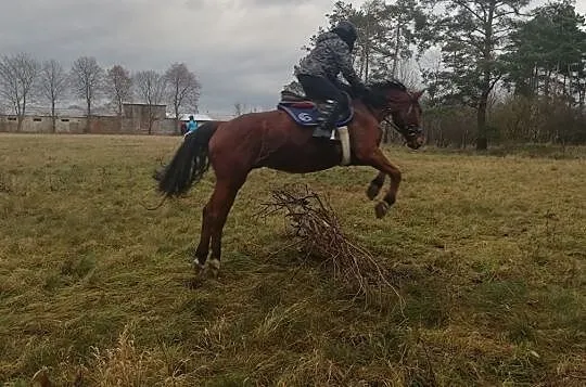 Wydzierżawie pod sport, Wielkopolskie, Śrem
