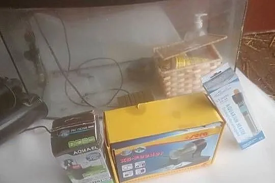 Akwarium 60 l z osprzętem dowóz, Kujawsko-pomorskie, Czernikowo
