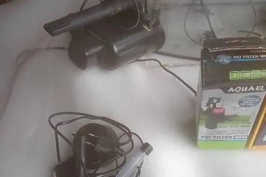 Akwarium 60 l z osprzętem dowóz, Kujawsko-pomorskie, Czernikowo