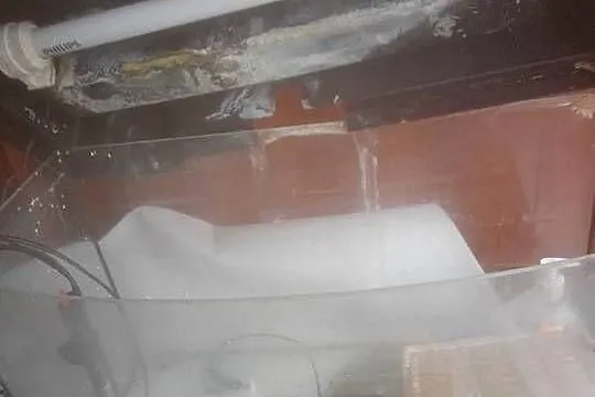Akwarium 60 l z osprzętem dowóz, Kujawsko-pomorskie, Czernikowo