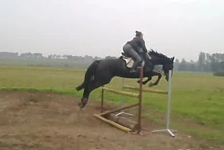 Sprzedam