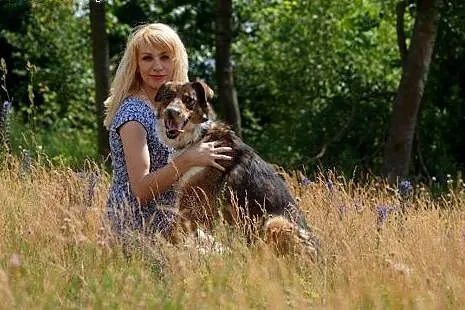 Kumpel śliczny spory psiak szuka domku,  Kundelki 