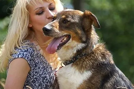 Kumpel śliczny spory psiak szuka domku,  Kundelki 