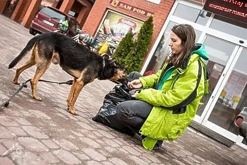 A masz domek dla Krukiego?...Z innym pieskiem?...,