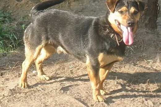 Max może zostać twoim przyjacielem  ,  mazowieckie