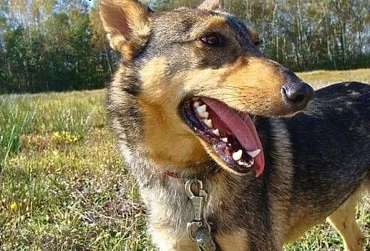 Radosny i pozytywny Fil wciąż nie traci nadziei na