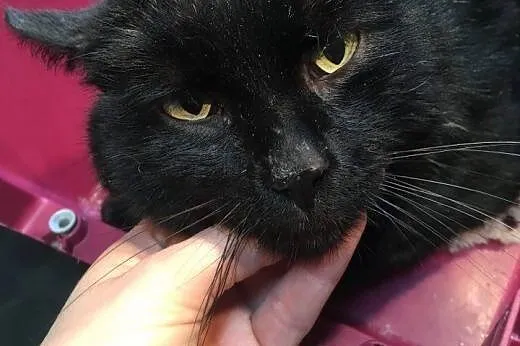 Na imię mam Luna, Pan Księżyc,  mazowieckie Warsza