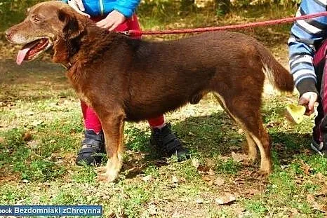 Chodząca łagodność i wyrozumiałość - Barry czeka n