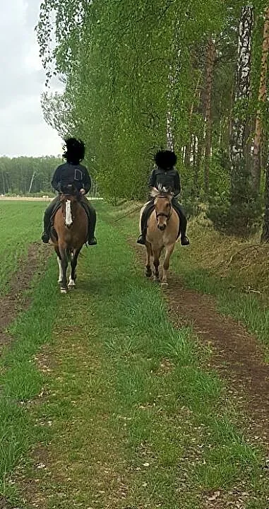 Sprzedam fiorda, Wielkopolskie, Poznań