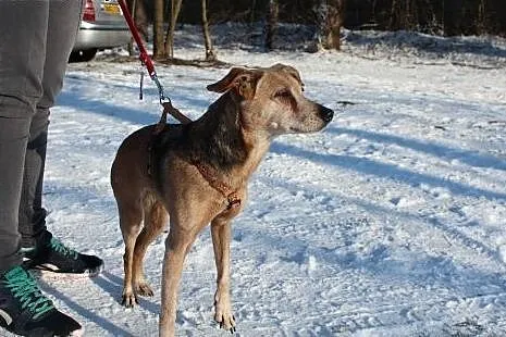 Skin - sunia odebrana interwencyjnie czeka na wyma