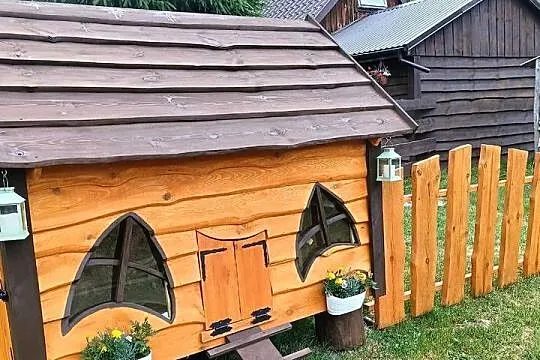 Kurnik dla Kurek, Podkarpackie, Dębica